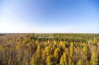 3-комн. квартира 70,4 м² — фото 24