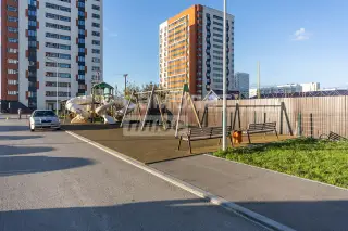 Студия 26 м² — фото 10