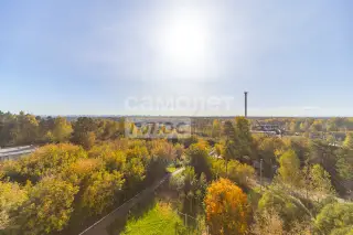 1-комн. квартира 39 м² — фото 13